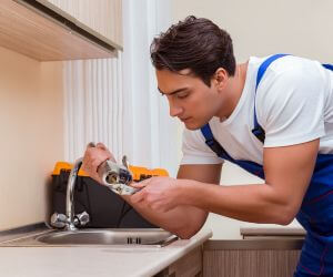 About Emergency plumbing pros Walkerville, MI